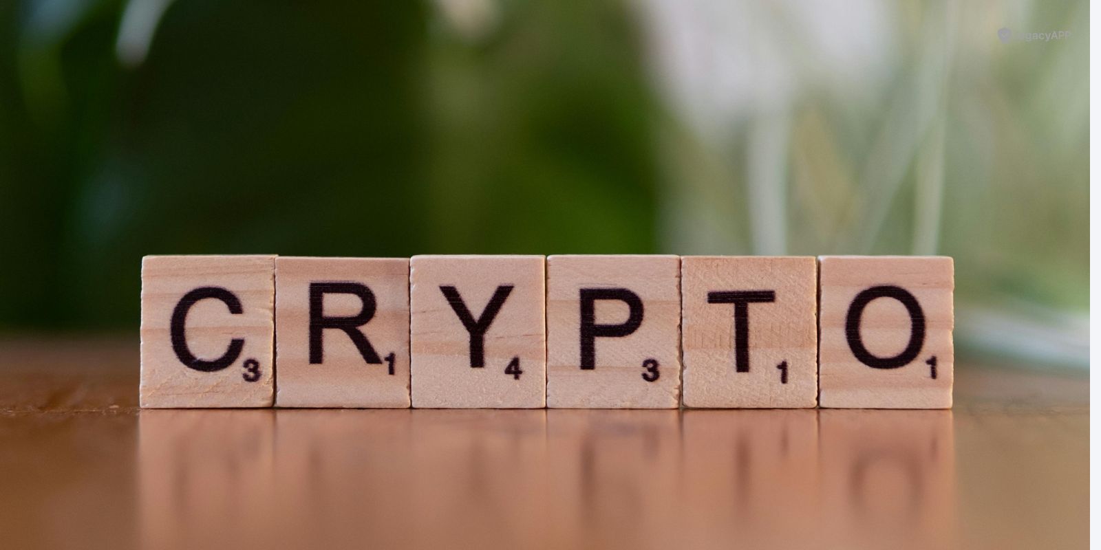 Kryptowaluty i nietypowe oszczędności: gdzie bliscy mają ich szukać